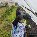 The ladies doing a little 
gardening at Red Willow